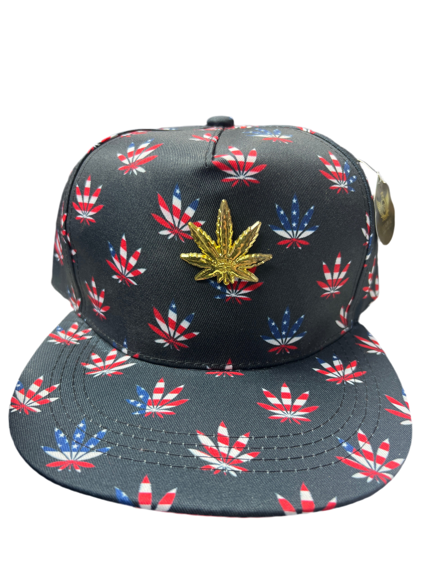 USA Colors Hat