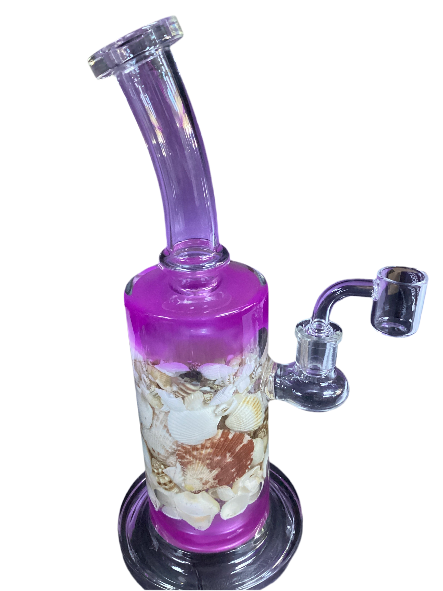 Large Shell Interior Water pipe
