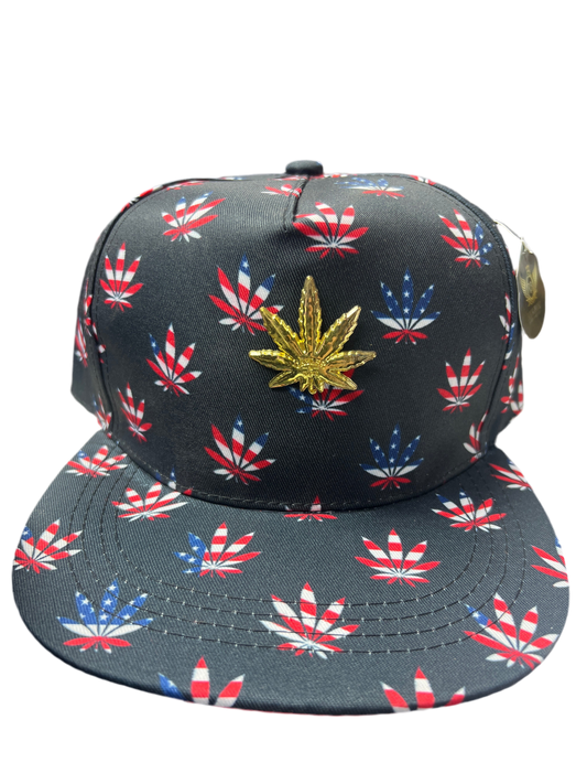 USA Colors Hat