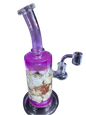 Large Shell Interior Water pipe